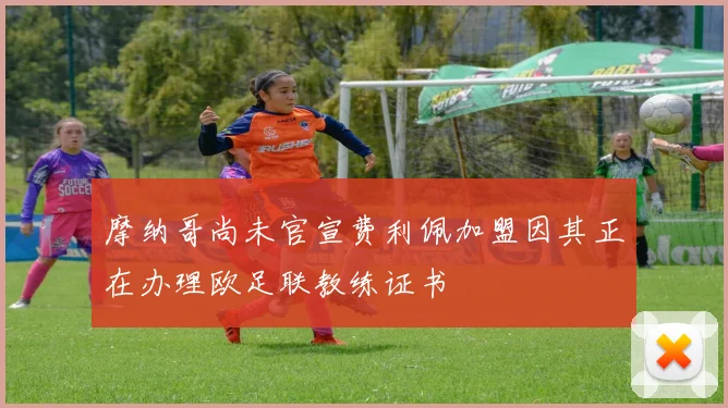 摩纳哥尚未官宣费利佩加盟因其正在办理欧足联教练证书